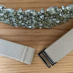 BCBGMaxAzria | Accessories | Nwot Bcbgmaxazria Jeweled  display picture 1
